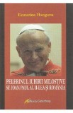 Pelerinul iubirii milostive. Sf. Ioan Paul al II-lea si Romania - Ecaterina Hanganu