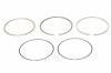 Mahle Set segmenti piston