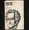 Faust - Goethe, Editura Univers - Roman Beletristica