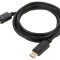 Cablu DisplayPort 1.2 3m cu mufe DisplayPort la ambele capete