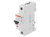 &Icirc;ntrerupător de supracurent 230V 25A 1P C