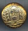 AX 1162 NASTURE METALIC MARE - HERALDICA INTERESANTA -PENTRU COLECTIONARI