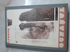 Ocnasul - N. Arcas foto