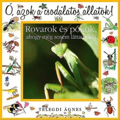 O, azok a csodalatos allatok! - Rovarok es pokok - AHOGY MEG SOSEM LATTAD OKET - Telegdi Agnes foto