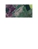 -ora 14.00 &ndash; teren intravilan &ndash; 4.983 mp, curti constructii Pustinis, jud. Timis