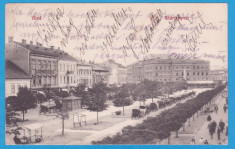 CARTE POSTALA ARAD - PIATA ANDRASSY CIRUCLATA - 1907 foto