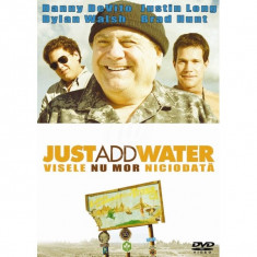 Visele nu mor niciodata (Just Add Water) DVD foto