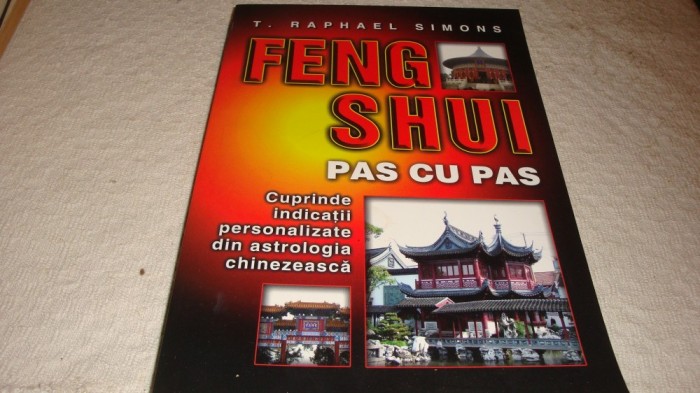 Raphael Simons - Feng Shui pas cu pas - 2008