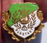 I.657 INSIGNA STICKPIN GERMANIA MUZICA LIRA MGV B&Uuml;RSTADT h179mm email, Europa