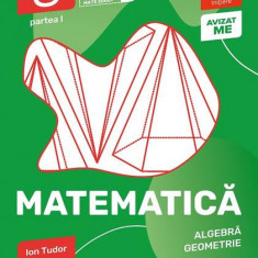 Matematică. Algebră, geometrie. Caiet de lucru. Clasa a VIII-a. Inițiere. Partea I - Paperback brosat - Ion Tudor - Paralela 45 educațional