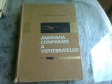 Anatomia Comparata a Vertebratelor Vol. I - G.T. Dornescu, Editura Didactica 1968, Carte Medicina Veterinara, 560 Pagini