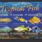 GRENADA 2009 FAUNA MARINA PESTI TROPICALI MI. 4466-4471, KLEINBOGEN MNH