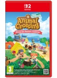 Animal Crossing New Horizons Up NSW2