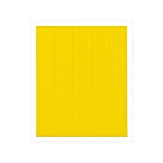Thermal Grizzly folie termoizolatoare Kapton &amp;quot;TG-KIS-10-60-50&amp;quot; foto