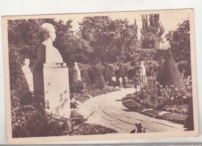 bnk cp Bucuresti - Cismigiu - necirculata - Libraria noastra foto
