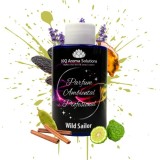 Wild Sailor - type Le Male 100 gr