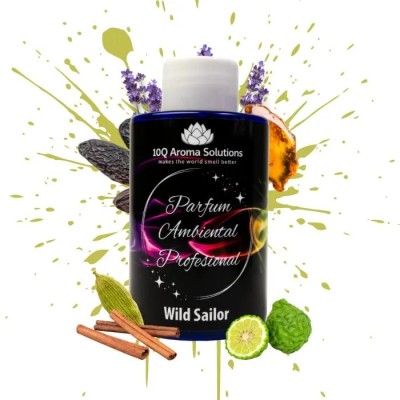 Wild Sailor - type Le Male 100 gr foto