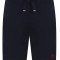 Pantaloni scurti barbati US Polo Assn. Bald Bleumarin