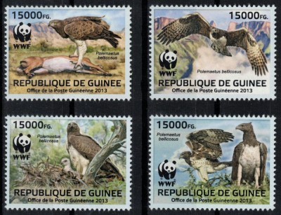 GUINEEA 2013 - Fauna, Pasari de prada/serie completa MNH foto
