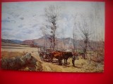 HOPCT 23073 PEISAJ CAR CU BOI-- CP PICTURA --NECIRCULATA
