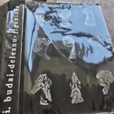 I. Budai Deleanu - Tiganiada