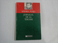 JURNALUL DE LA TESCANI - ANDREI PLESU foto