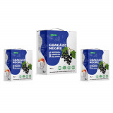 3 x Suc de Coacaze Negre - Pachet PROMO 9L, FROOTYA