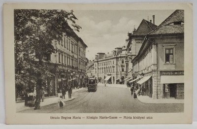 SIBIU , STRADA REGINA MARIA , CU TRAMVAI ELECTRIC , CARTE POSTALA , INTERBELICA foto
