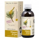 Sirop Muguri de Pin Dacia Plant 200ml