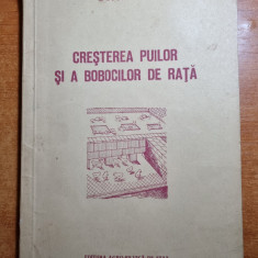 cresterea puilor si a bobocilor de rata - din anul 1955