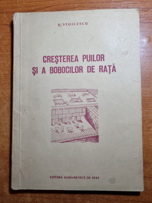 cresterea puilor si a bobocilor de rata - din anul 1955