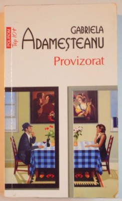 PROVIZORAT de GABRIELA ADAMESTEANU , 2013 *MIC DEFECT COPERTA SPATE foto