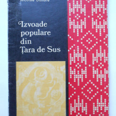 Izvoade populare din Tara de Sus - Motive Ornamentale populare din nordul Moldov