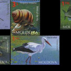MOLDOVA 2014, Fauna, serie neuzată, MNH