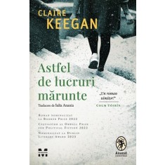 Astfel de lucruri marunte &ndash; Claire Keegan