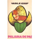 Vasile Iosif - Palaria de pai - 136696