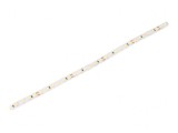 Bandă LED alb rece 24V 12W/m