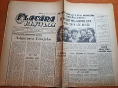 flacara iasului 11 iulie 1964-foto barlad,lansarea noului autoturism trabant 601 foto