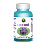 Lucerna 60cps Hypericum, Hypericum Plant