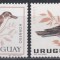 Uruguay 1963 - Păsări, MNH