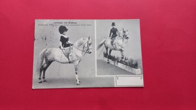 Bucuresti Bukarest Circ Circus Zirkus Cesar Sidoli Cirque Royal 1898 foto