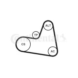 Continental Ctam Set curea transmisie cu caneluri