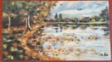 Pictura - Ulei pe placaj. Fara rama. Anii '90