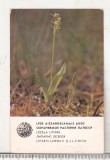 Bnk cld Calendar de buzunar - 1984 - URSS - Letonia - Riga
