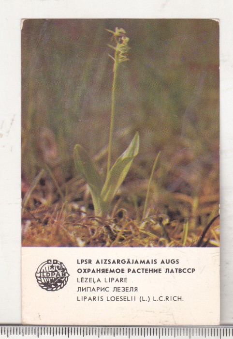 bnk cld Calendar de buzunar - 1984 - URSS - Letonia - Riga