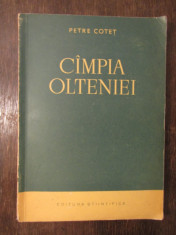 CIMPIA OLTENIEI-PETRE COTET foto