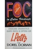 Dorel Dorian - Foc in Calea Vacaresti (Editia: 1999)