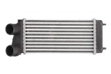 Radiator intercooler PEUGEOT 307 Break (3E) (2002 - 2009) THERMOTEC DAC004TT