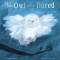 The Owl Who Dared
