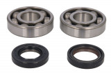 SIGILII BEARINGS + SET YAM.TZR 125R/RR 91-95, Athena